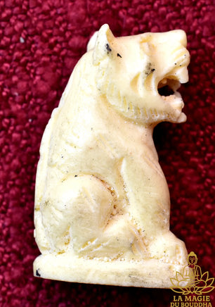 Amulette Tigre Blanc - Très Vénérable Luang Phor Pian du Wat Krian Katin La Magie du Bouddha.