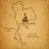 Amulette Phra Kling Alchimique en Mekkapat du Wat Suthat – Bangkok – 2005 La Magie du Bouddha.