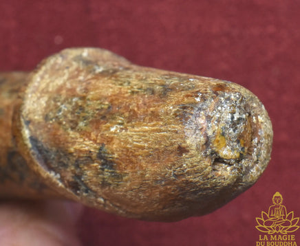 Rare amulette Palat Kick en bois sculpté - Vénérable Luang Phor Sanguan du Wat Phai Phan Mue La Magie du Bouddha.