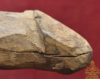 Palat Kick ancien en bois sculpté par un ermite Phra Siwali – Amulette phallique thaïlandaise ancienne La Magie du Bouddha.