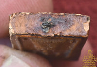 Amulette Phra Somdej Nak Prok de Luang Phor Thong Gleung (vers 1995) – Épine sacrée de porc-épic – Wat Chedi Hoi