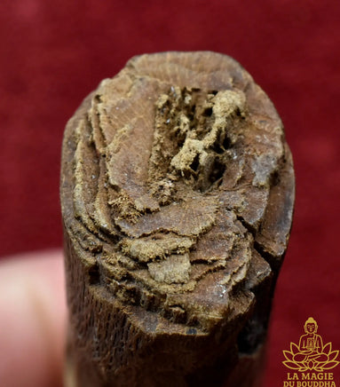 Palat Kick ancien en bois sculpté par un ermite Phra Siwali – Amulette phallique thaïlandaise ancienne La Magie du Bouddha.