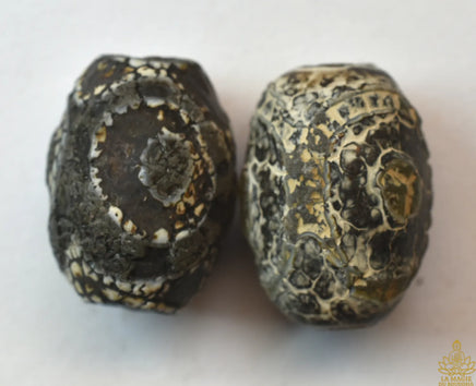Paire de petits dzi anciens à trois yeux – style Gourou Rinpoché La Magie du Bouddha.