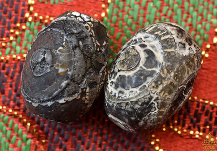 Paire de petits dzi anciens à trois yeux – style Gourou Rinpoché La Magie du Bouddha.