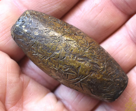 Grosse perle Look Sakot ancienne – Lignée du Très Vénérable Luang Phor Boon La Magie du Bouddha.