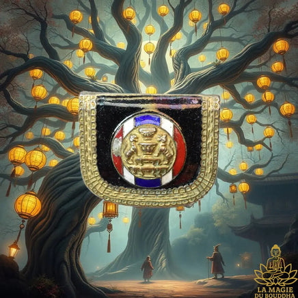 Ancien insigne officiel thaïlandais aux symboles héraldiques du Siam La Magie du Bouddha.