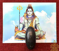 Shiva Lingam noirs authentiques en pierre polie (trois tailles disponibles) La Magie du Bouddha.