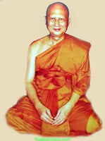 Amulette Tigre Mystique bénie au Wat Paliwat - Très Vénérable Luang Phor Somchai La Magie du Bouddha.