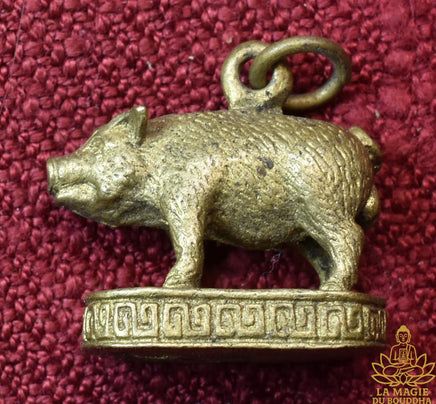 Amulette cochon Moo Mahalap - Très Vénérable Luang Phor Peow Pawalo du Wat Rung Mun La Magie du Bouddha.