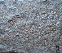 Fer de hache d’équarrissage de charpentier ancien – Bretagne