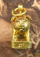 Amulette de Fortune – Cochon Sacré Moo Thong Mahalap Luang Phor Lor – Wat Banna Theptharam (Chachoengsao) La Magie du Bouddha.