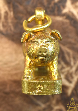 Amulette de Fortune – Cochon Sacré Moo Thong Mahalap Luang Phor Lor – Wat Banna Theptharam (Chachoengsao) La Magie du Bouddha.