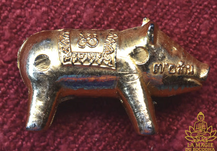 Amulette cochon de fortune Moothong Choklap 72 Million(1995) – Très Vénérable Luang Phor Koon du Wat Banraï La Magie du Bouddha.