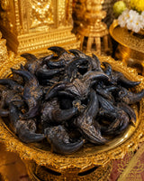 Amulette de fortune Krab Ngern Krab Thong Fang Phet - Vénérable Luang Phor Peth Vajasit