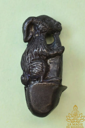 Amulettes Palat Kick alchimique des animaux du zodiaque chinois - Vénérable Luang Phor Sawae Ilisampano La Magie du Bouddha.