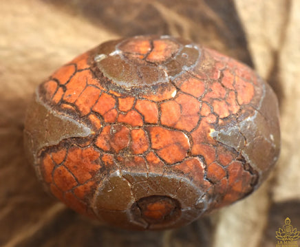 Perle sacrée tibétaine Dzi ancienne à trois yeux – Modèle orange craquelé La Magie du Bouddha.
