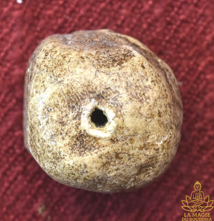 Perles sacrées anciennes Phra Somdej Muan La Magie du Bouddha.
