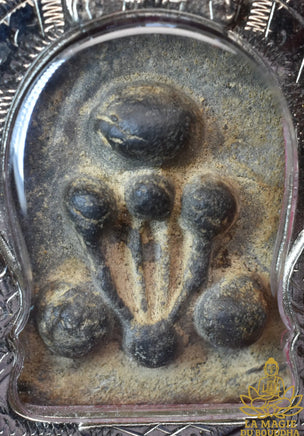 Rare amulette ancienne Phra Pidta Kraduk Phi Phra Ajarn Noo Wat Po Ta Tian (1942) La Magie du Bouddha.