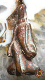 Amulette Thaï protectrice ancienne du Bouddha Phra Pidta à huit bras.