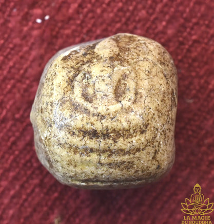 Perles sacrées anciennes Phra Somdej Muan La Magie du Bouddha.