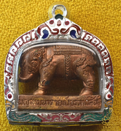 Amulette Phaya Moo Mahasethi cochon sacre de Vishnu - Vénérable Luang Phor Kae Thamma Sarano du Wat Kor Loi La Magie du Bouddha.