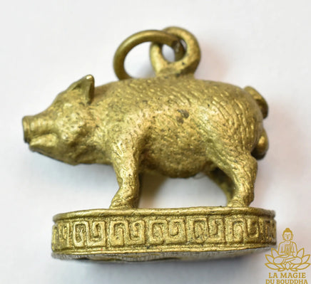 Amulette cochon Moo Mahalap - Très Vénérable Luang Phor Peow Pawalo du Wat Rung Mun La Magie du Bouddha.