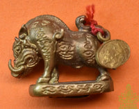 Amulette Phaya Moo Plik Phaen Din – Cochon Sacré Retournant la Terre – Luang Pu Bunyang Ajaro La Magie du Bouddha.