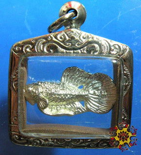 Amulette Poisson combattant Pla Kad Ngern - Très Vénérable LP Nuam. La Magie du Bouddha.