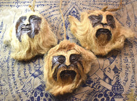 🥥 Talismans “Grandfather coconut” (มะพร้าวปู่) – Ancestral protection of Isan