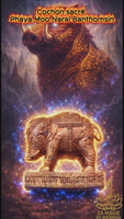 Amulette Phaya Moo Mahasethi cochon sacre de Vishnu - Vénérable Luang Phor Kae Thamma Sarano du Wat Kor Loi