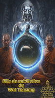 Bille sacrée de méditation Look Geow Samadhi - Très Vénérable Luang Phor Lersi Lingdam du Wat Thasung
