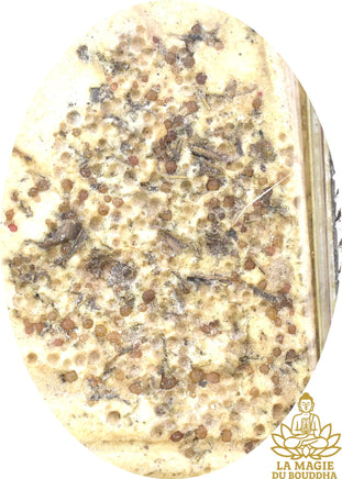 Amulette Phra Somdej ancienne aux reliques sacrées La Magie du Bouddha.