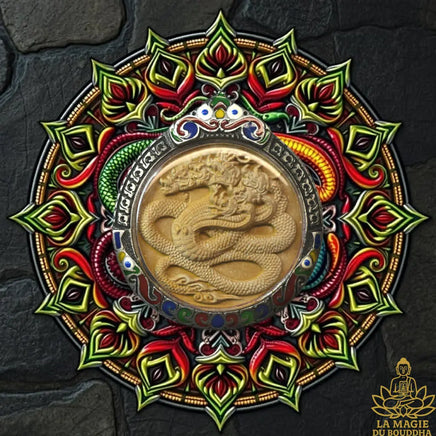 🐉 Amulette Roi des Nagas - Vénérable Luang Phor Watchara du Wat Tham Faed La Magie du Bouddha.