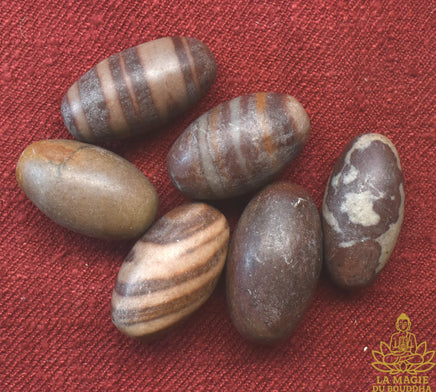 Petits Shiva Lingam naturels en pierre sacrée de la rivière Narmada La Magie du Bouddha.