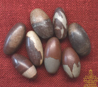 Petits Shiva Lingam naturels en pierre sacrée de la rivière Narmada La Magie du Bouddha.