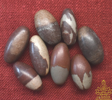Petits Shiva Lingam naturels en pierre sacrée de la rivière Narmada La Magie du Bouddha.