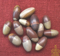 Petits Shiva Lingam naturels en pierre sacrée de la rivière Narmada La Magie du Bouddha.