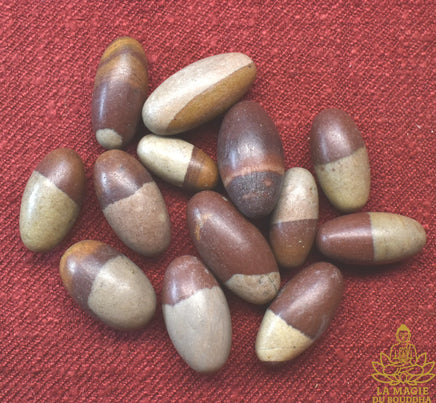 Petits Shiva Lingam naturels en pierre sacrée de la rivière Narmada La Magie du Bouddha.