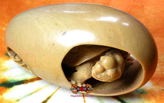 Shiva Lingam sculpté - tortue. La Magie du Bouddha.