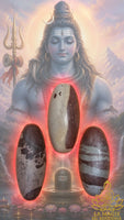Shiva Lingam naturel sacré du fleuve Narmada