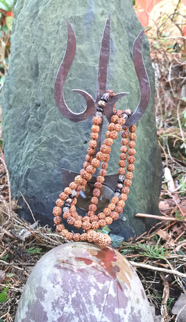 Chapelet de Shiva en graines sacrées Rudraksha. La Magie du Bouddha.