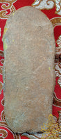 Ancient votive tablet of the Standing Buddha under the Bodhi tree
