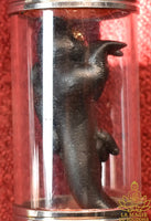 Ancient Black Khuman Thong Amulet with Gemstone Eyes – Naked Effigy of Fertility and Prosperity
