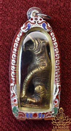 Amulette Tigre Sacré de Luang Phor Chob – Wat Khao Ran Seuar La Magie du Bouddha.
