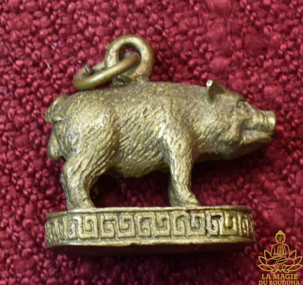Amulette cochon Moo Mahalap - Très Vénérable Luang Phor Peow Pawalo du Wat Rung Mun La Magie du Bouddha.