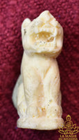 Amulette Tigre Blanc - Très Vénérable Luang Phor Pian du Wat Krian Katin La Magie du Bouddha.