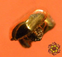 Amulette dorée du Bouddha Phra Puthadjao - Wat Tha Nak. La Magie du Bouddha.