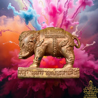 Amulette Phaya Moo Mahasethi cochon sacre de Vishnu - Vénérable Luang Phor Kae Thamma Sarano du Wat Kor Loi La Magie du Bouddha.