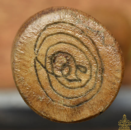 Palat Kick Tigre en bois sacré – Luang Phor Sawai (Wat Pidharam, Nakhon Pathom, vers 1980) La Magie du Bouddha.