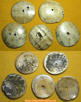 Grandes perles Tibétaines plates en conque 